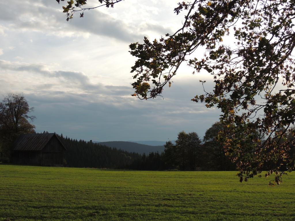 Pension Altvogtshof Eisenbach  Zewnętrze zdjęcie