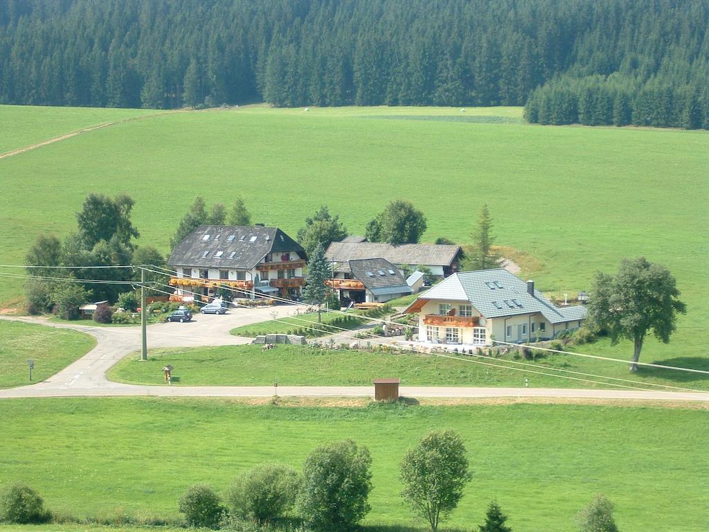 Pension Altvogtshof Eisenbach  Zewnętrze zdjęcie